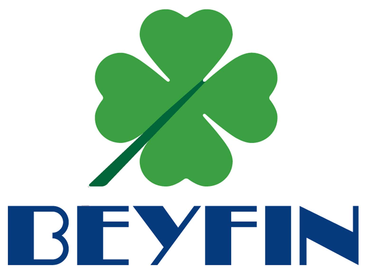 Beyfin Energy